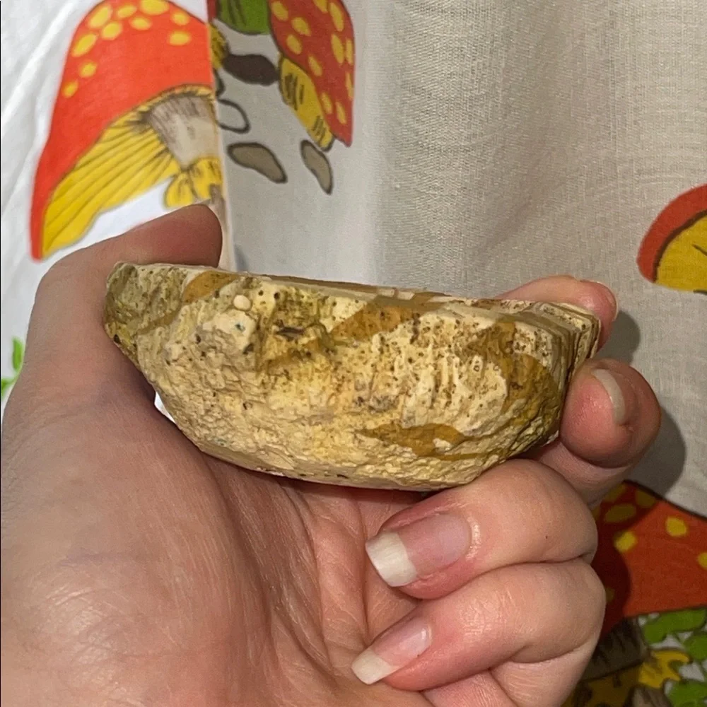 Reptile food or water dish Bowl and Log Accent